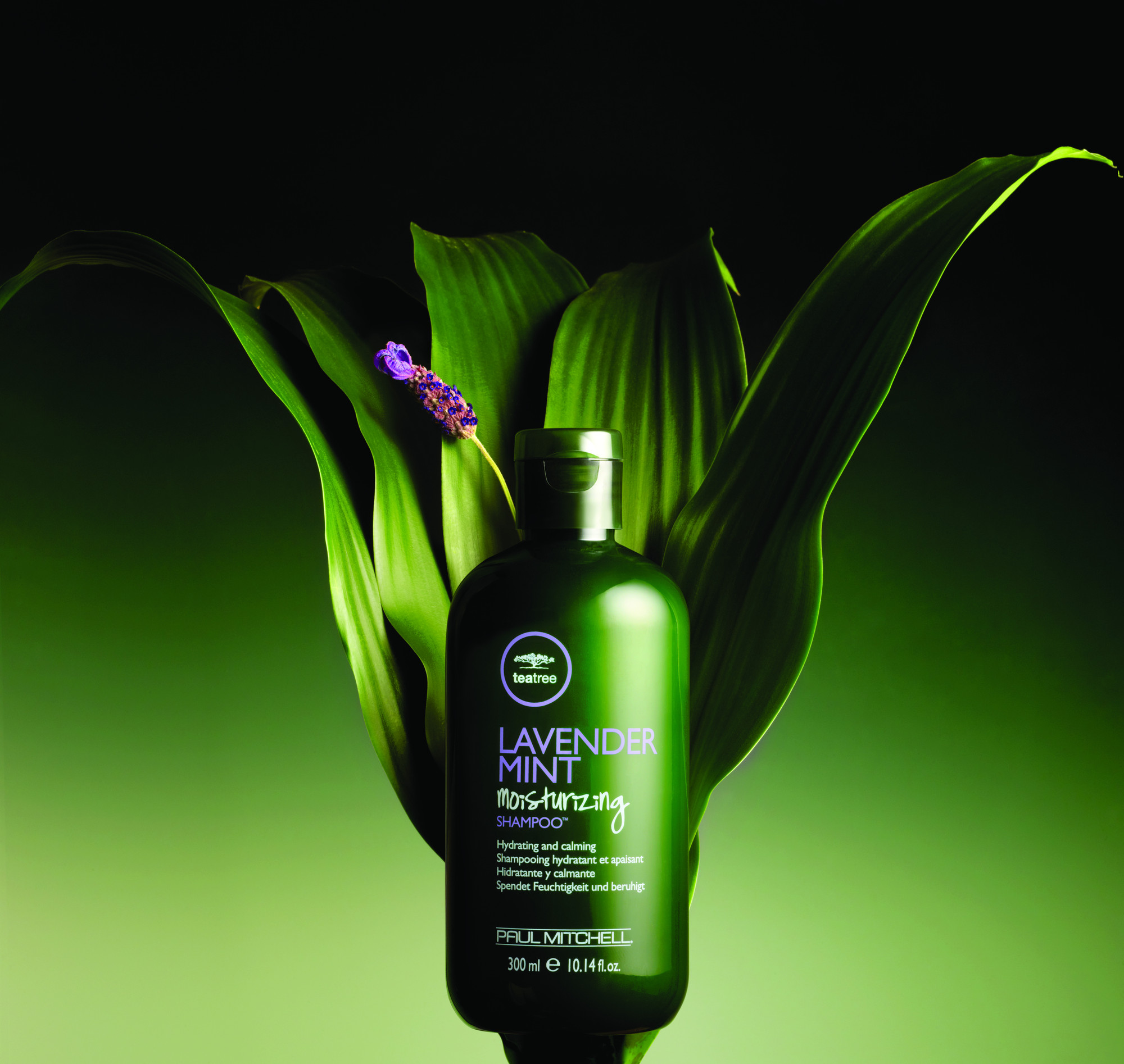 Tea tree paul mitchell спа. Tea tree шампунь paul mitchell. зеленый шампунь для проблемных волос. Tea tree шампунь paul mitchell. Tea tree paul mitchell пилинг.